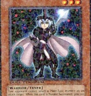 Twilight Rose Knight [DT02-EN054] Common Online