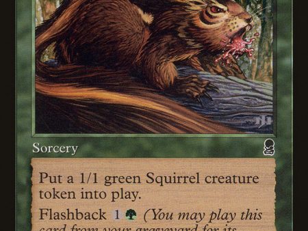 Chatter of the Squirrel [Odyssey] Supply