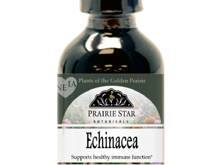 Echinacea Cheap