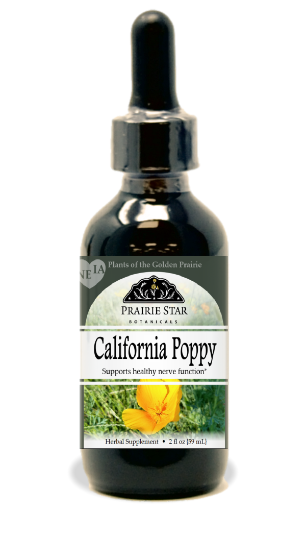 California Poppy For Cheap