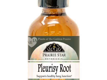 Pleurisy Root Hot on Sale