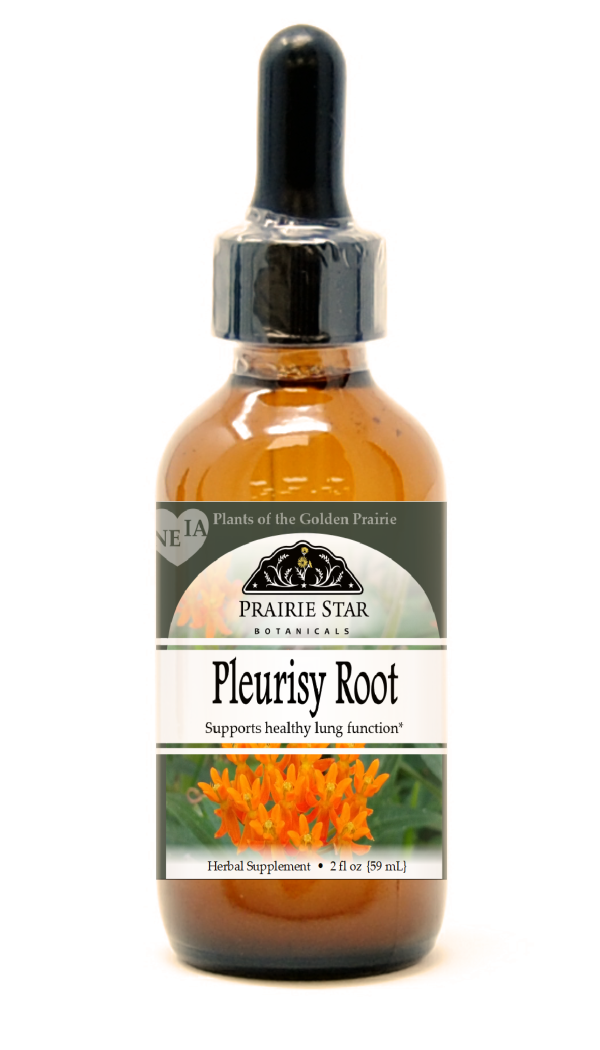 Pleurisy Root Hot on Sale