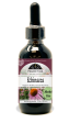 Echinacea Cheap