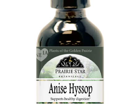 Anise Hyssop Fashion