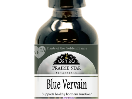 Blue Vervain Sale